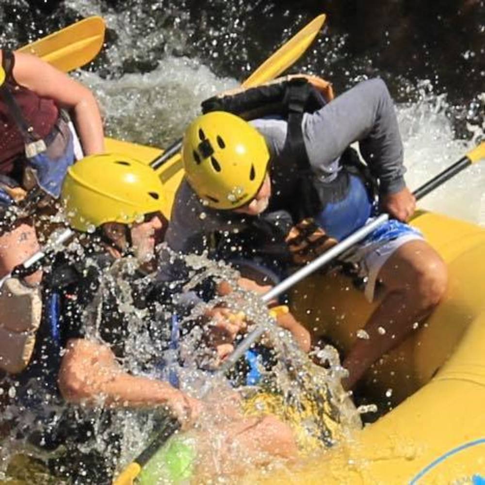 Meet your Posher, Andrew